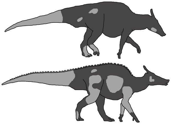 Canadian scientist requests skin types be indicated in new dinosaur species descriptions FetchObject.action?uri=info%3Adoi%2F10.1371%2Fjournal.pone.0031295