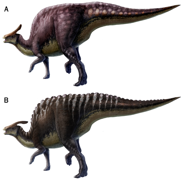 Canadian scientist requests skin types be indicated in new dinosaur species descriptions FetchObject.action?uri=info%3Adoi%2F10.1371%2Fjournal.pone.0031295