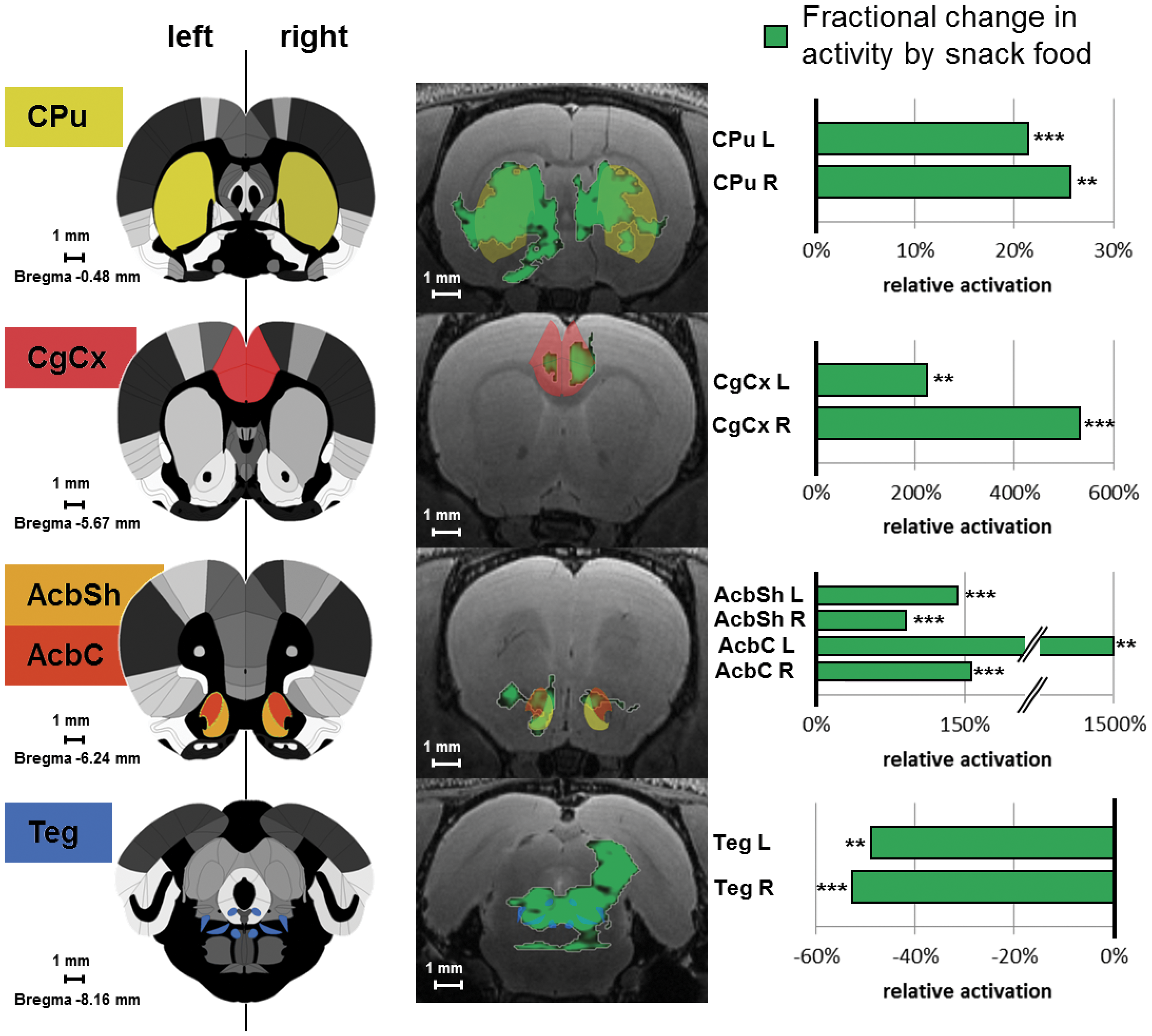 Figure 5 Activation differences related to snack food (potato chips) vs. standard chow in representative brain structures.