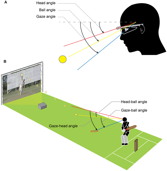 Figure 1 Experimental set-up and measurement of head, ball, and gaze angles.