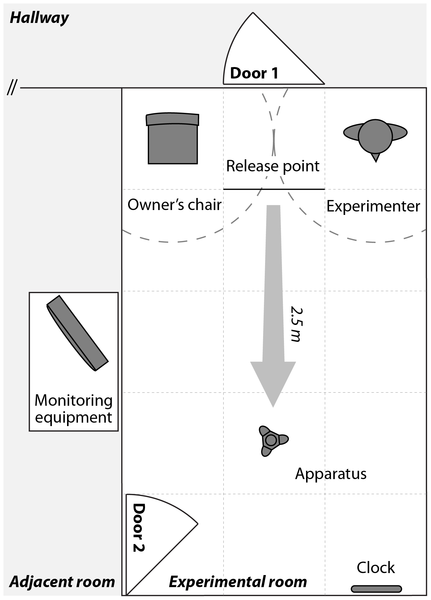 Figure 2 Schematic representation of the experimental set-up.