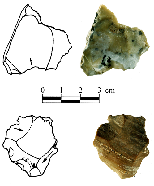 Figura 2 Cores-on-escamas en Bizat Ruhama conjuntos arqueológicos.