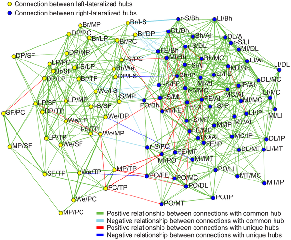 Figure 5 Significant correlation of lateralized connections across subjects.