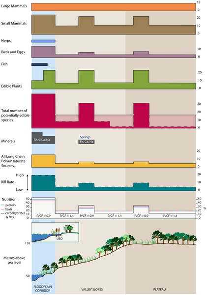 Figure 4 The nutriscape; a schematic representation of dietary diversity in a transect from valley floor to plateau top in the English Channel region.
