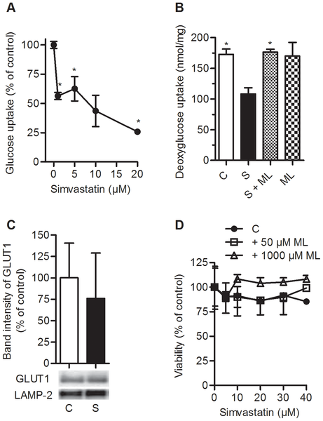 Figure 1 Reduced glucose uptake in myotubes after treatment with simvastatin.