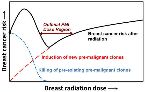 Figure 1 Schematic of radiation dose-effects on breast-cancer risk in the contralateral breast of breast cancer patients.