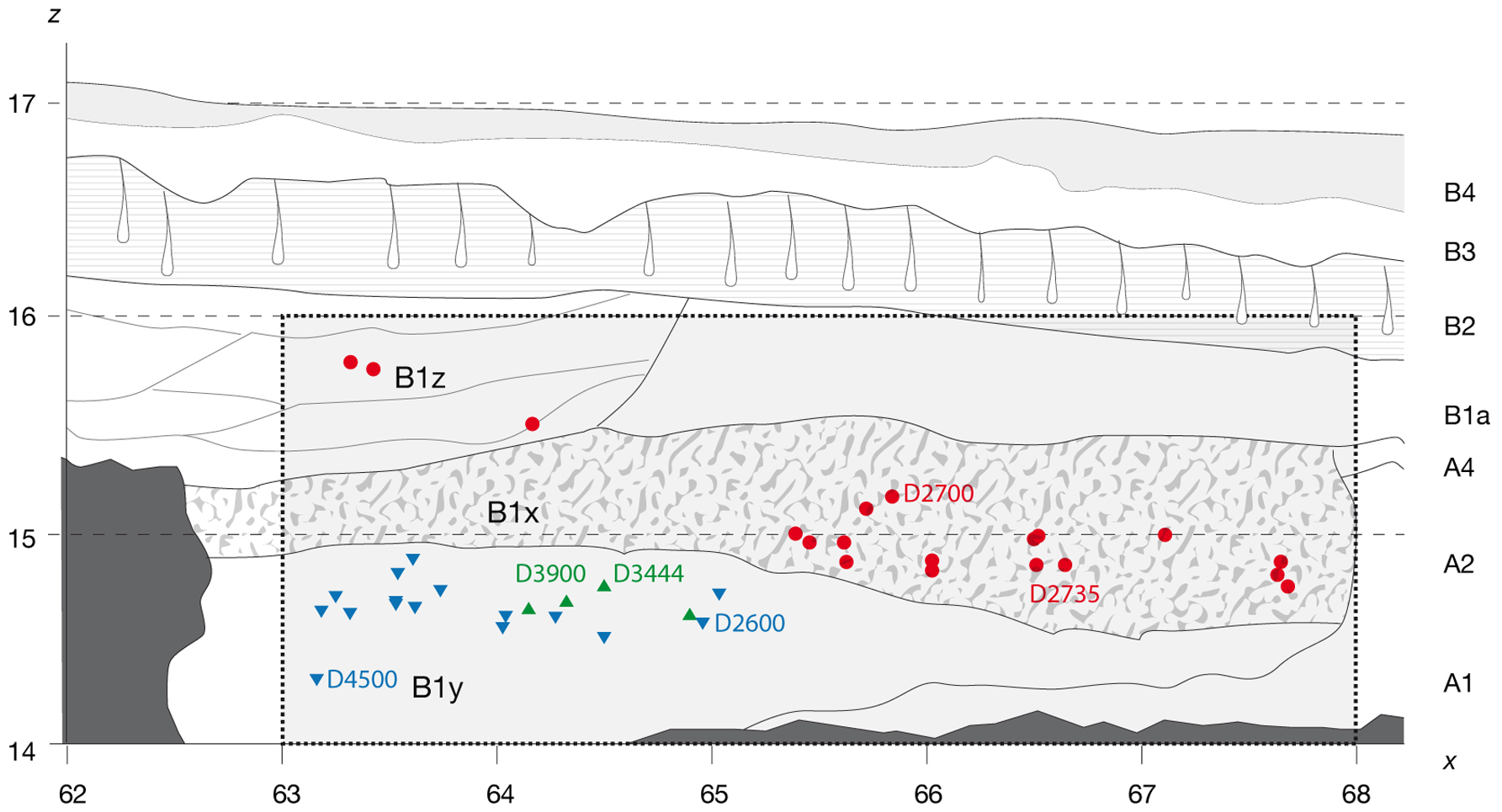 Figure 2 Projected stratigraphic location of the main hominin remains recovered from Block 2.