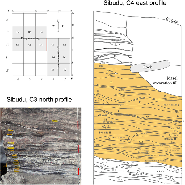 Figura 1 El área de excavación y secciones estratigráficas de la secuencia de "post-HP" de Sibudu.