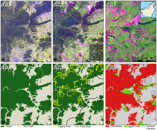Figure 1 A close-up view of an area in West Kalimantan province, Borneo (see top-right inset for location).