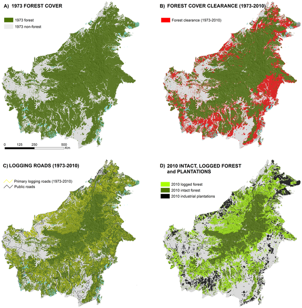 Figure 3 Four decades of forest persistence, clearance and logging on Borneo.