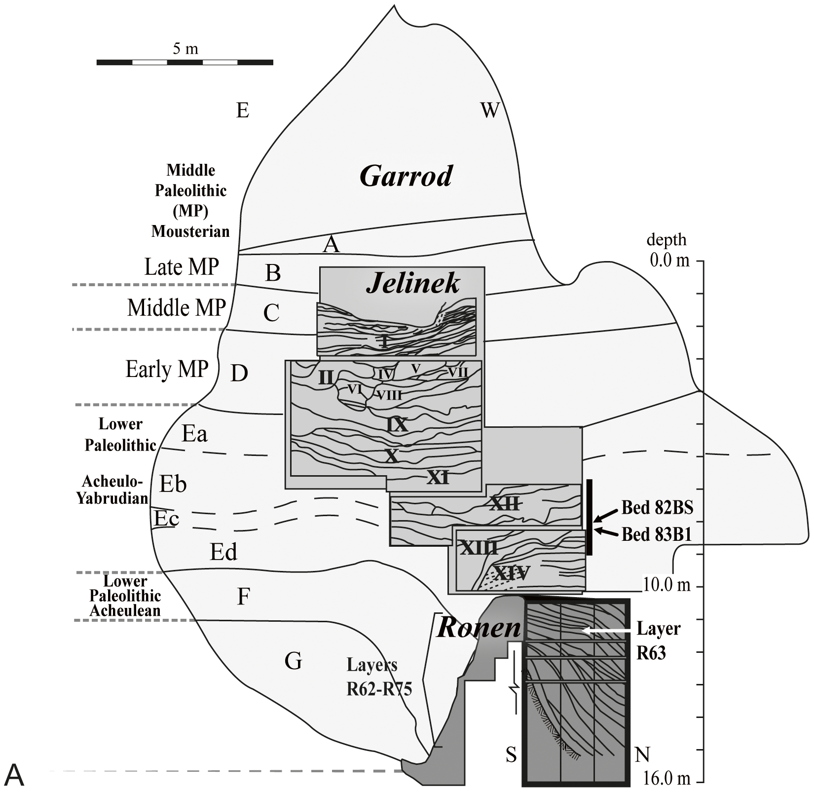Figure 2 Tabun section showing the general location of the studied samples.
