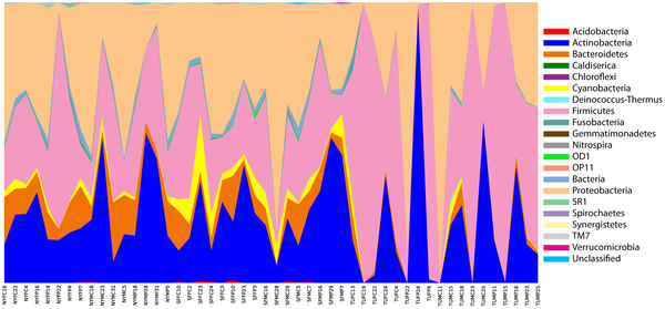 The abundances of various bacterial divisions (see color legend) in the 54 samples were based on multiplexed pyrosequencing of 16S rRNA gene sequences. The codes for each sample are presented along the X-axis and indicate the city (NY = New York, SF = San Francisco, TU = Tucson), gender of the office occupant (F = Female, M = Male), and site within the office from which the sample (C = Chair, P = Phone) was obtained, followed by sample number. doi:info:doi/10.1371/journal.pone.0037849.g002