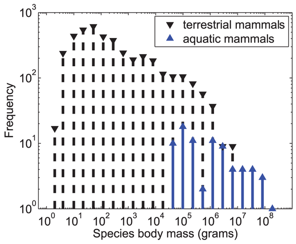 Figure 1 Terrestrial and fully aquatic mammal species mass distributions.